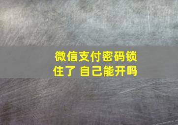 微信支付密码锁住了 自己能开吗